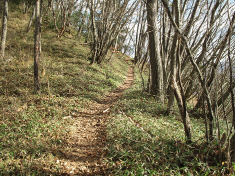 20171116hike (180)